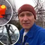 Esimene aia töötlemine pärast talve: aednik nimetas parimat aega ja