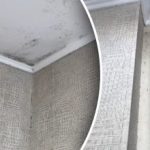 Hommikul kulub vaid 5 minutit: lihtne viis niiskusest ja hallitusest