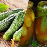 Kuidas katta kurgid talveks tšilliketšupiga: 3 võrreldamatut retsepti