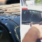 Linnud ei hakka enam autode kallal jama: siin on see,