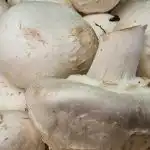 Miks ei tohiks seeni enne praadimist pesta, kui soovite koorikut: näpunäiteid koduperenaistele miks-ei-tohiks-seeni-enne-praadimist-pesta-kui-soovite-koorikut.jpg