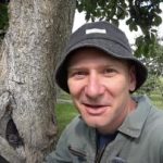 Õõnes ei ole surmaotsus: tõestatud viis puu eluea pikendamiseks