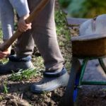 Septembri 2025 külvikalender: mida on vaja aias teha