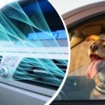 Ukrainat on tabanud kuumus: kuidas kiiresti jahutada auto sisemust ilma