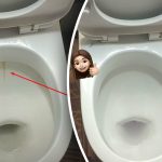 Üks toode valgendab teti läikima: kuidas 15 minutiga toime tulla